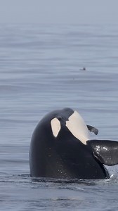 Target practice 😂 | Slater Moore Photography