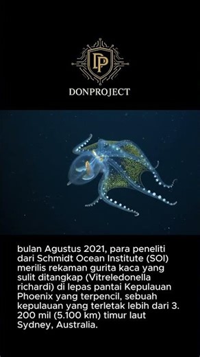 “Seperti Hantu Laut! Inilah Gurita Kaca yang Tembus Pandang”