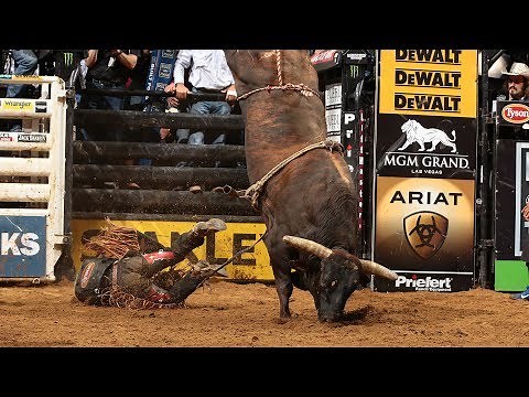 One of The RANKEST Bulls to Ever Live: Asteroid