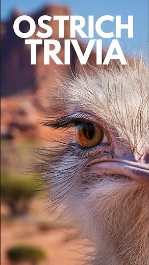 Unveiling Ostrich Speed Mysteries