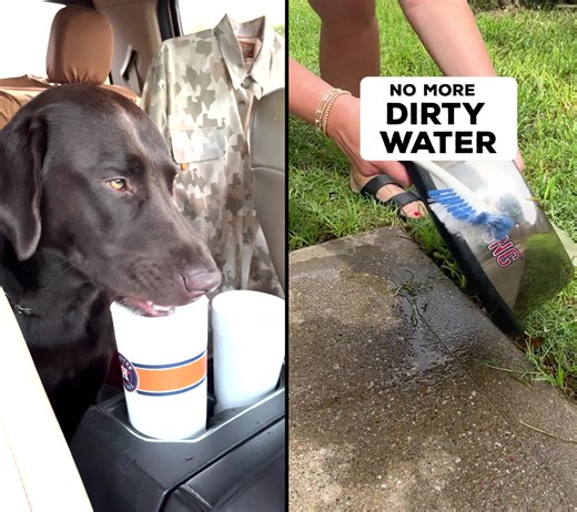 Cowboy’s Game Washer on TikTok