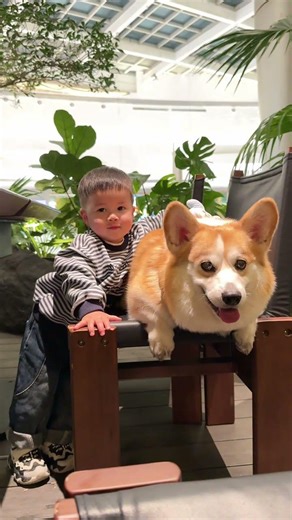 Transformations: Before vs. After Two Years