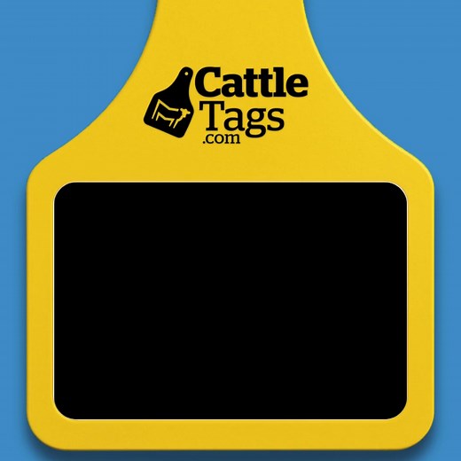 Your source for Allflex Ear Tags and Identification Supplies | CattleTags.com | Facebook