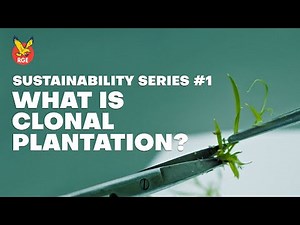 Sustainability Starts Here | What is Clonal Plantation