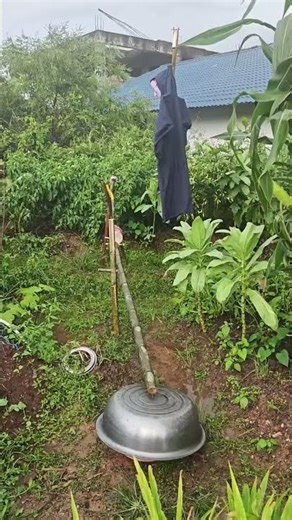 A unique way to repel birds in the garden. #shorts