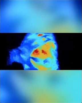 The city hunter Predators chaos