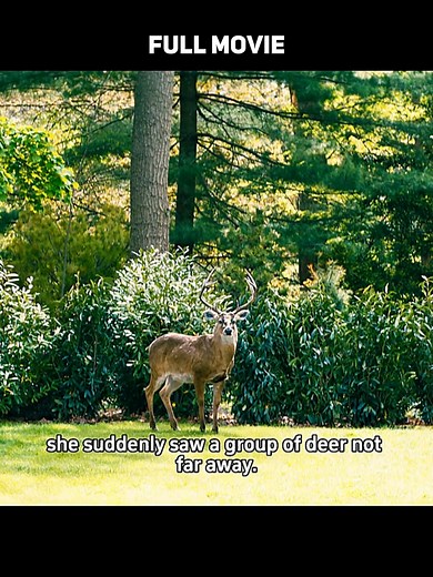 229K views · 4.1K reactions | Movie Name:- Leave the World Behind #moviescenes #movienight #movieclips #moviereview #movie #movierecap #movienetflix #movies #movietime #movierecap #movierecapMovie | AnjalNiroula | Facebook