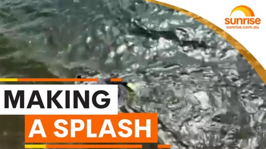 Former Navy diver set to swim the English Channel on his back