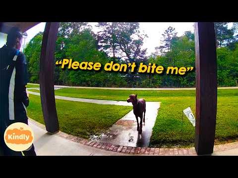 When Fear Turns Into Love ❤️