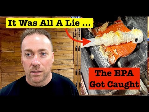 The Truth Just Came Out With The EPA AdBlue Scam and Skyrocketing Diesel Prices