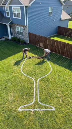 Backyard transformation made with summrs