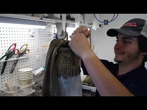 Coyote's Standard Suction Lanyard lamination fabrication with an Offset 3 Prong Connector