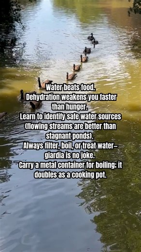 Wilderness Long-Term Survival Guide on Reels