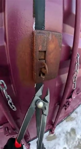 What Was Hidden Inside This Purple Container?