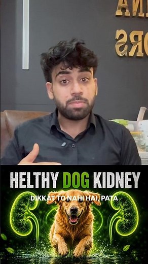 Can You Tell If Your Dog Has a Kidney Problem? 🐶❤️