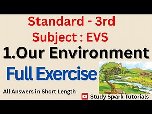 1. Our Environment | Std 3rd EVS Lesson 1 full exercise Questions and Answers Environmental Studies