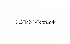 BiLSTM的PyTorch应用