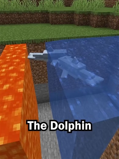 Dolphins are the dumbest mob in Minecraft #minecraft #minecraftmemes | Minecraft Memes
