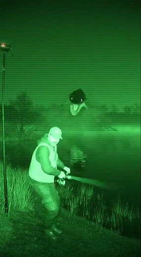 The Roadside Demon Cow #NightVision #HorrorCow #CCTVScare