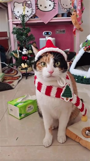 Mì lão sù - Chán ba: Chọn ngẫu nhiên vẫn ngon