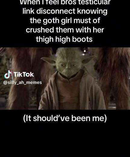 Joe on TikTok