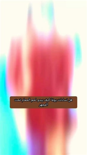 لن تصدق شكل لحم الحمام تحت المجهر 😱😱