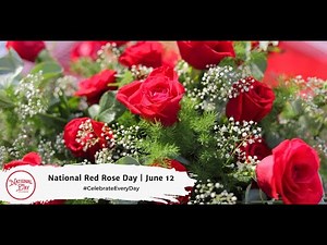 National Red Rose Day | June 12