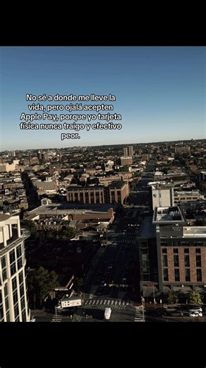 The Importance of Apple Pay in Today's Cashless Society