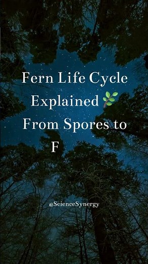 Fern Life Cycle Explained | From Spores to Fronds #ferns #fernie #biologyshorts #biology #science