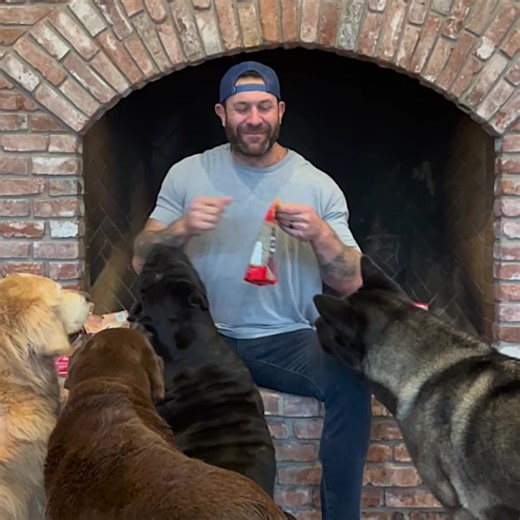 10K reactions · 154 shares | Healthy, happy dogs start with Natural Farm chews!  I trust Natural Farm for my pack because their all-natural, sustainably made treats keep my pups entertained and thriving.  Give your dog a treat they’ll love—and feel good knowing you’re supporting a better planet too!  #ad Use code ASHERHOUSE for 20% off your order TODAY! | The Asher House | Facebook