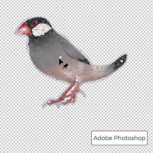 Bending Objects using Puppet Warp Tool in Adobe Photoshop