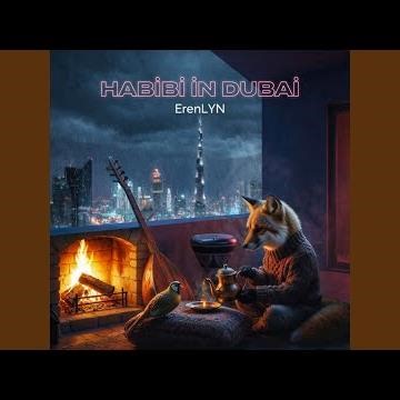 Habibi İn Dubai