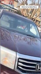 BREAKING: New video shows ICE officer's perspective of MN shooting