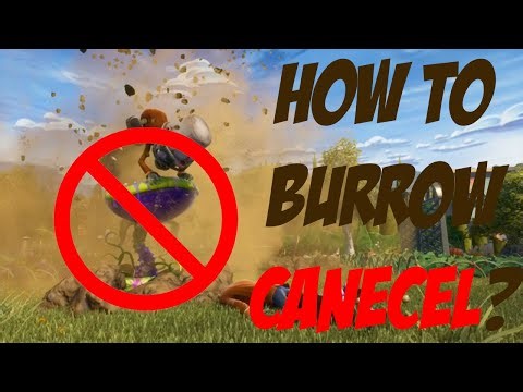 How to burrow cancel