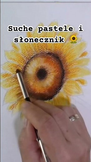 Słonecznik suchymi pastelami #shorts #słonecznik #pastel #rysowanie #kwiaty #malarstwo #malujbaluj