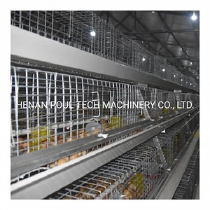 [Hot Item] Best Quality Chicken Cage Broiler Farm Chicken Cage System