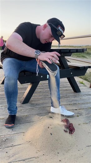 Experiencing Beach Walks: Tips for Enjoyment