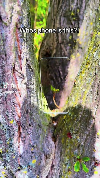 It’s a nøphone 🫨 #nokia #plex #nokiaplex #clearphone #transparentphone #glassphone #nophone #beforegta6