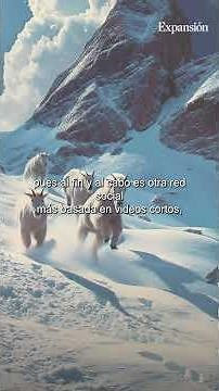 Meta lanza en España Vibes: así funciona la red social para crear vídeos con IA gratis