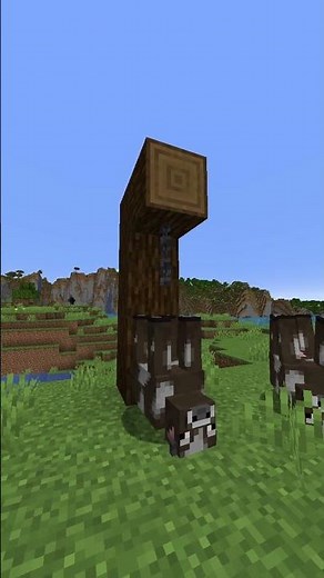 4 Easter Eggs with Name Tags You Didn't Know About in Minecraft 1.21+