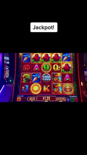 sdguy12345 on TikTok