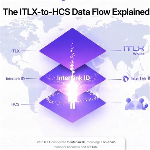 The ITLX → HCS Data Flow, Explained #interlink #itlg #itl #itlx