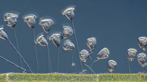 3.3K views · 143 reactions | Greased Lightning! (Well, sort of) -...