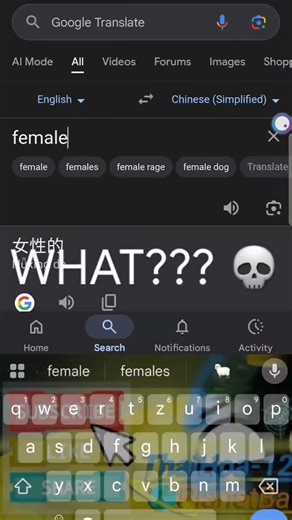 Google translate is putting bad words from Chinese