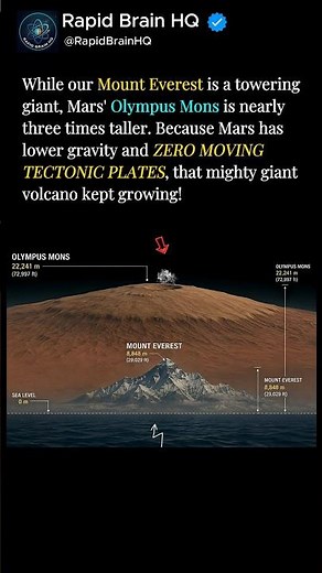 Size comparison: Everest vs the solar system's biggest mountain #space #facts
