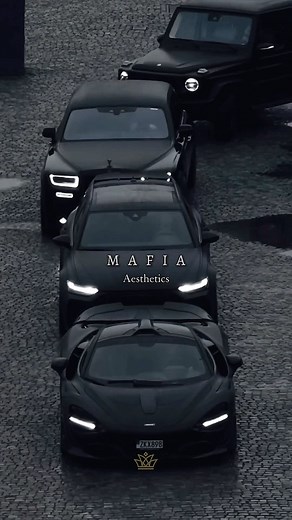 ᴍ ɪ ʟ ʟ ɪ ᴏ ɴ ᴀ ɪ ʀ ᴇ ᴠ ɪ ʙ ᴇ ꜱ on Instagram: "Power, money, respect – the ultimate mafia trifecta. Are you ready to level up?🏆 First Rolls-Royce Clip by @platinum_group DM for credit #luxury #motivation #mindset #millionaire #lifestyle #money #foryou"