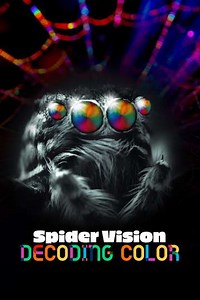 Spider Vision: Decoding Color (2024) - Movie