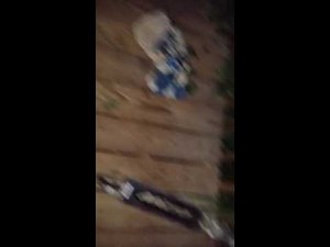 Kids Pants Fall down