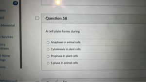 A cell plate forms during:Anaphase in animal cellsCytokinesi... | Filo