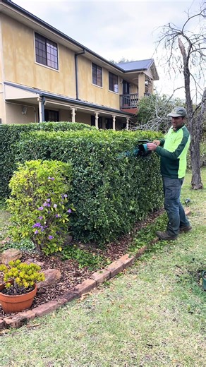 ✂️ Professional hedge trimming for a clean, sharp look. 🌱 #davidsmowingsydney #makeover #gardening #hedgetrimming #satisfying